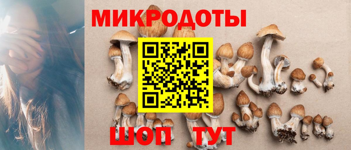 Нижневартовск  Псилоцибиновые грибы ЛСД  Вход с VPN 