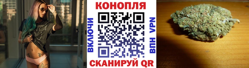 даркнет Telegram  Нижневартовск  Бошки марихуана план 
